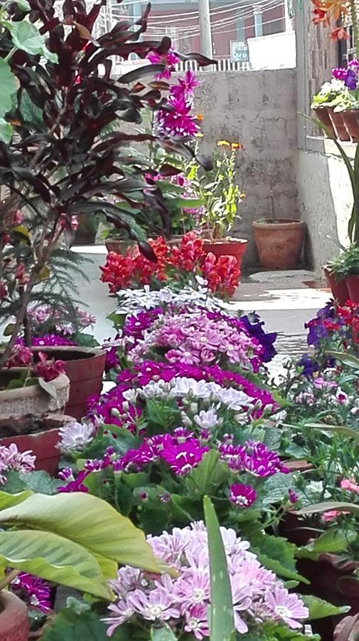 Hotel Buttercup Pokhara Exterior foto