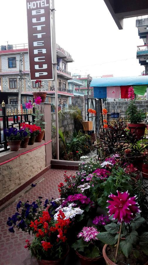 Hotel Buttercup Pokhara Exterior foto