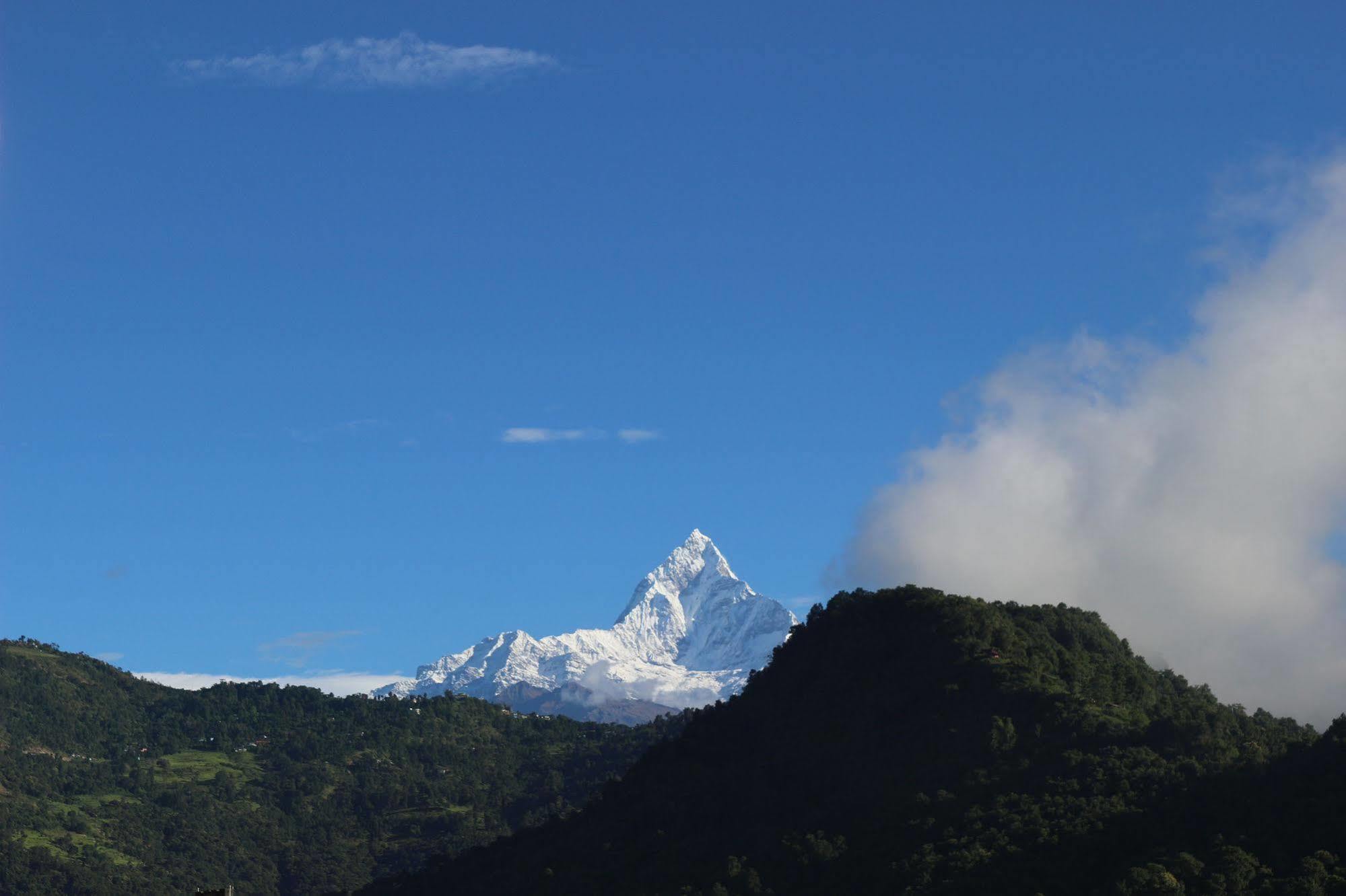 Hotel Buttercup Pokhara Exterior foto
